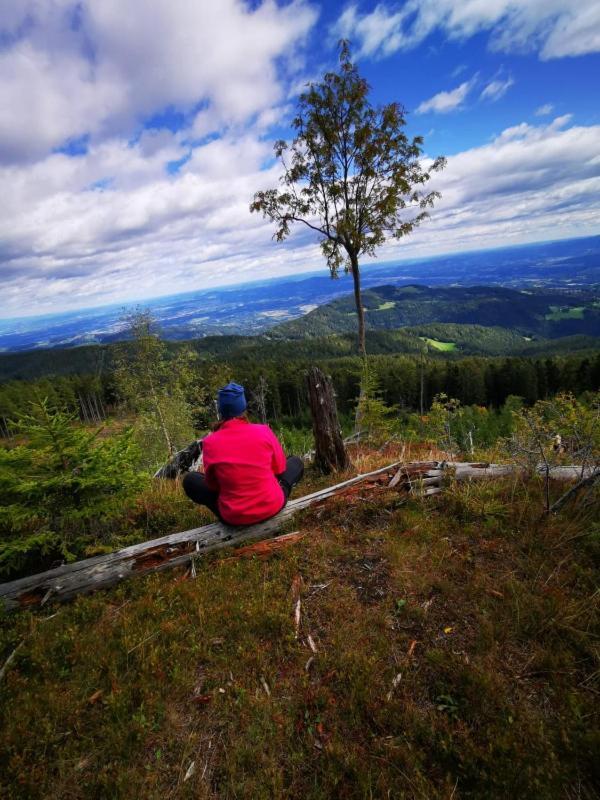 Ferienhaus Koglegg Wies Esterno foto