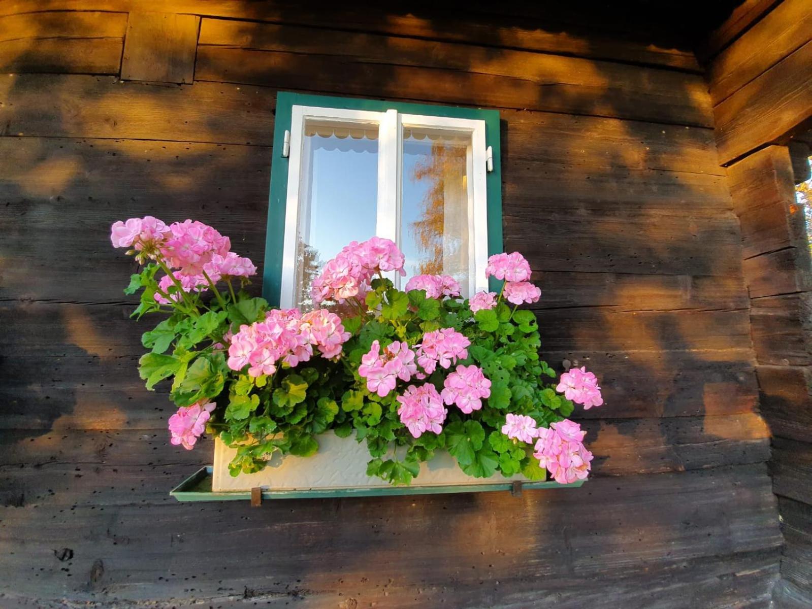 Ferienhaus Koglegg Wies Esterno foto